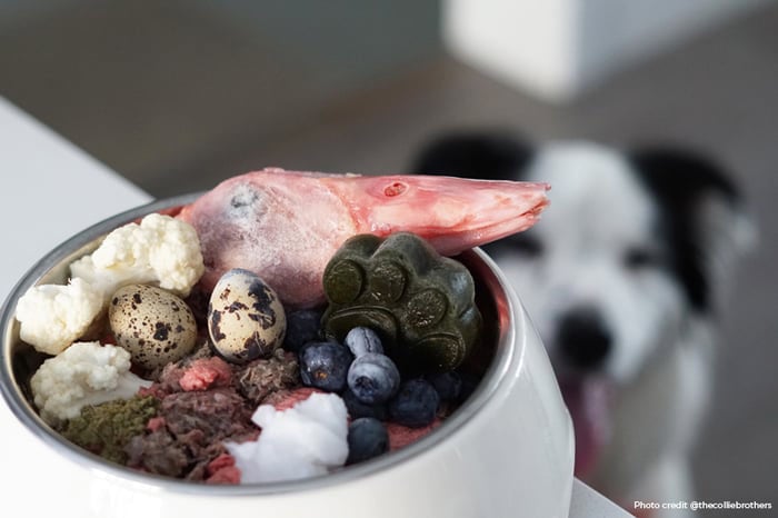 Small dog raw diet outlet